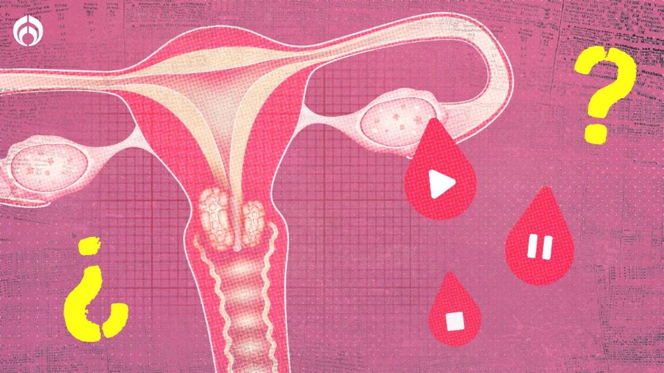 Hay una variedad de síntomas que indican que la menopausia está llegando.