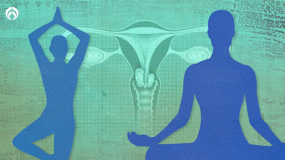 Estas son algunas opciones para que la pases mejor en la menopausia.