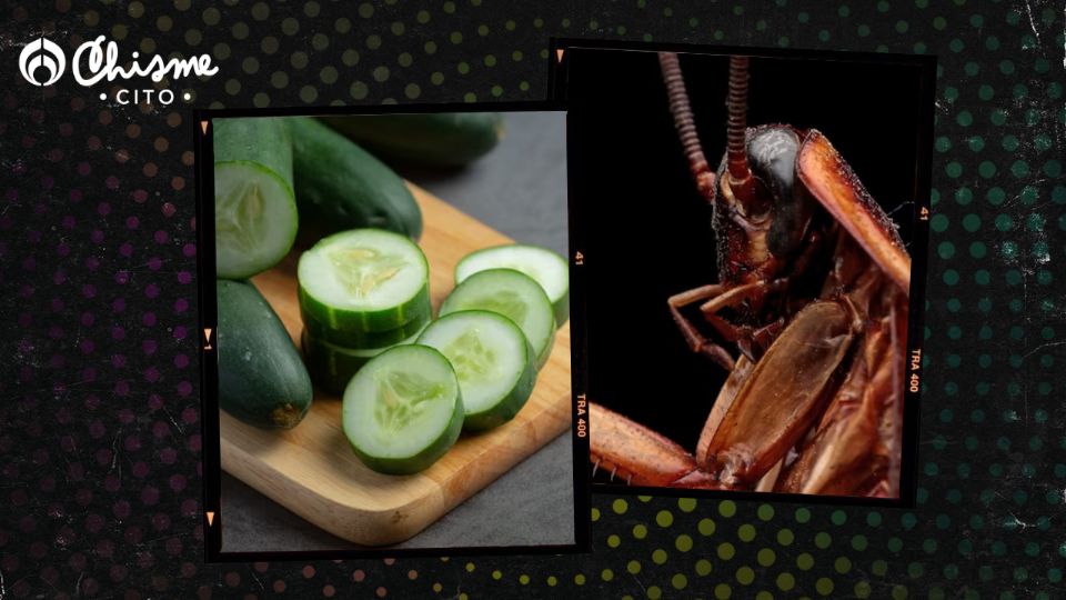 Las cucarachas van a disperarse con el aroma de los pepinos.