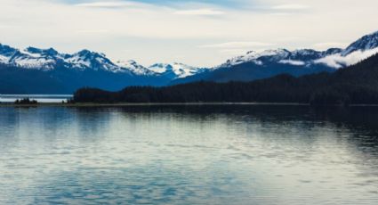 De leyenda a realidad: turista toma fotos verídicas del monstruo del Lago Ness