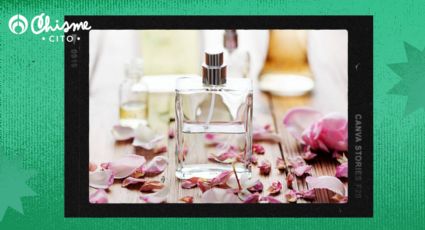 5 perfumes baratos para abrazar la primavera