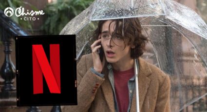 Netflix: la película de Woody Allen y Timothée Chalamet que llega al streaming y causa furor