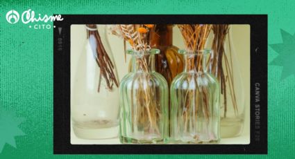 DIY: crea hermosos floreros con botellas de vidrio