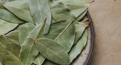 Pon una hoja de laurel debajo de la almohada y atrae energía positiva en tu hogar