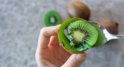 Conoce el secreto de expertos en jardinería para sembrar plantas de kiwi en casa