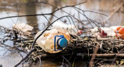 Contingencia ambiental: ¿Cuáles son las actividades que no puedes hacer por la alta contaminación?