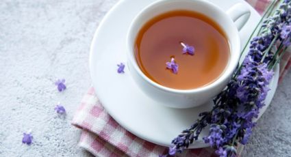 ¿Cómo preparar el té de lavanda que calma los nervios y ayuda a dormir bien?