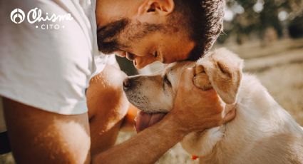 Así manipulan los perros a las personas, según la ciencia