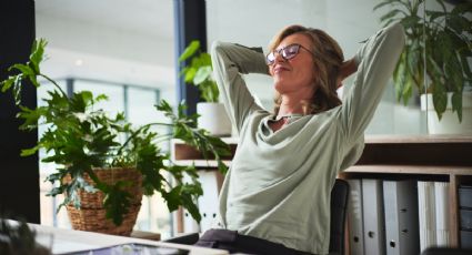 Feng Shui 3 plantas que debes tener en casa para atraer la abundancia