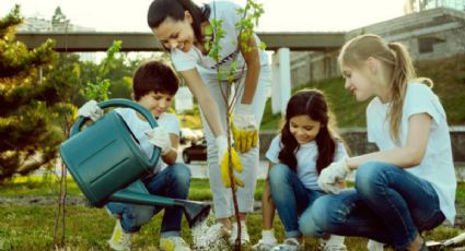 3 aplicaciones gratuitas para aprender a cuidar tus plantas