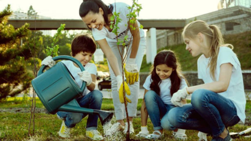 El riego de las plantas es importante y estas aplicaciones no te harán olvidarlo