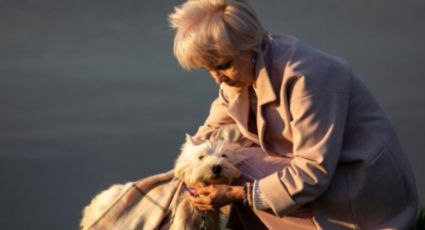 Gracias al tierno dibujo de su nieta, una abuelita logra encontrar a su perro