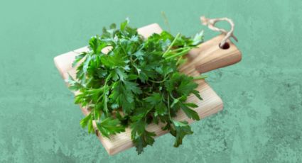 Olvida el cilantro: Reemplázalo por esta especia de pocos cuidados que puedes tener en casa