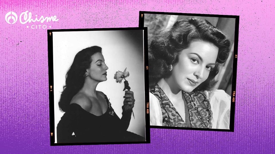 La imagen de María Félix fue símbolo del lujo, la excentricidad y el estilo.