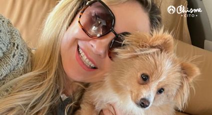 El trucazo de Aracely Arámbula para que tu perro viva hasta 15 años