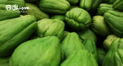 ¿Cómo cultivar chayote en casa y que crezca rápido?