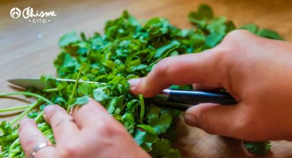 Haz un jugo détox natural con una cucharadita de cilantro