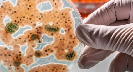 La técnica ancestral que elimina las bacterias de tu organismo