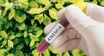 La planta secreta que regenera la sangre y elimina la anemia