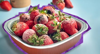 Fresas contaminadas con Hepatitis “A”: estos son los síntomas y graves riesgos para la salud