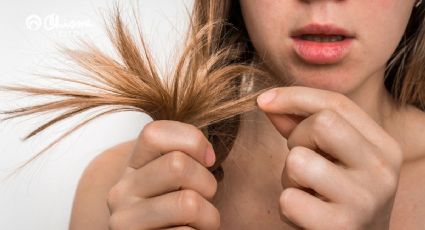 Repara el cabello maltratado con esta keratina a base de 2 conocidos alimentos