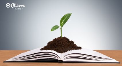 ¿Eres amante de las plantas? Estos libros no pueden faltar en tu biblioteca