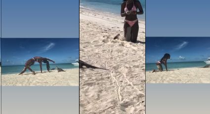 (VIDEO) Practicaba yoga y recibió un inesperado ataque de una criatura en la playa