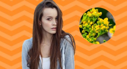 Las desconocidas plantas que rejuvenecen tu cabello ¡y te harán ver de 20!