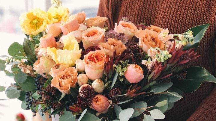 Estas son las rosas que atraerán la armonía a tu casa, según el Feng Shui