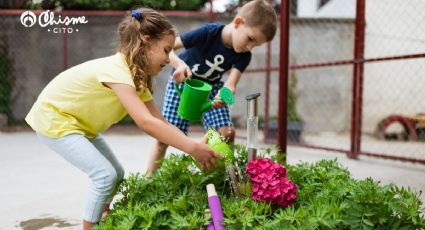 Aleja estas plantas tóxicas de los niños porque pueden ser mortales