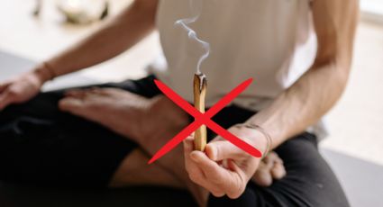 Por esta razón NUNCA debes encender un palo santo si quieres limpiar tu hogar, según el Feng Shui