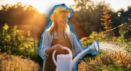 Checklist: los 10 cambios que necesita tu jardín para mejorar la salud de todas tus plantas