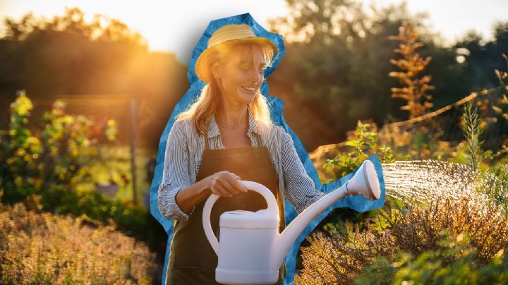 Que no mueran tus plantas: los 4 cuidados infaltables para tu jardín en otoño