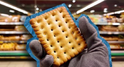 Casi nadie las conoce, pero estas galletas saladas son las mejores del mercado, según Profeco