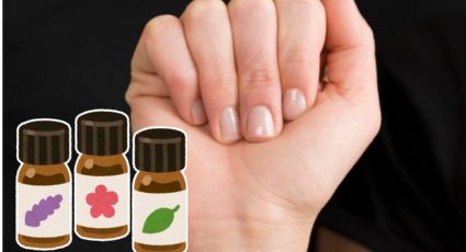 El mejor aceite natural para aliviar el acné y combatir los hongos en las uñas