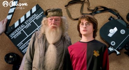 El protagonista de Harry Potter que ahora quiere ser Dumbledore en la serie de HBO