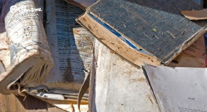 Temporada de lluvias: ¿Cómo recuperar un libro arruinado por el agua?