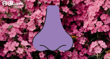 ¿Qué significa sentir aroma floral en tu casa de repente?