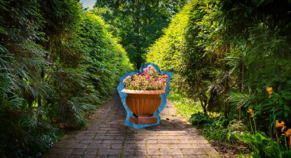 3 tipos de caminos fáciles de instalar y de bajo mantenimiento que le darán elegancia a tus plantas