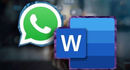 Transforma tu WhatsApp en Microsoft Word, solo siguiendo estos pasos y sin gastar dinero