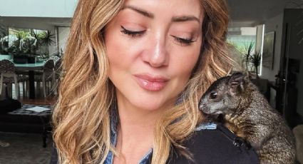 Andrea Legarreta rompe el silencio sobre supuesta relación con un hombre casado: "No me urge"
