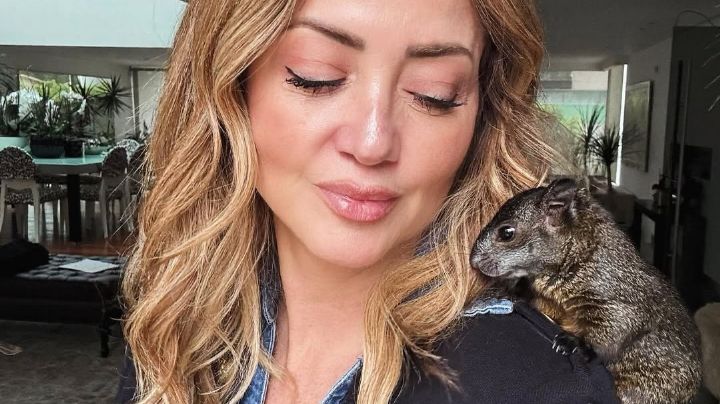 Andrea Legarreta rompe el silencio sobre supuesta relación con un hombre casado: "No me urge"