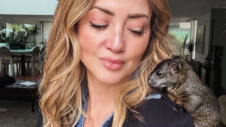 Andrea Legarreta apareció en un restaurante con un sujeto que incluso le besó la mejilla.