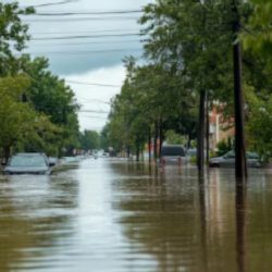 Mueren las nietas de famoso periodista por inundaciones en Texas; su hermana mayor sobrevive