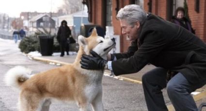 ¿Cuántos perros usaron en la película ‘Siempre a tu lado, Hachiko'?