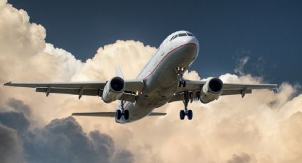 TikTok: azafata cuenta por qué debes llevar una foto carnet en cada viaje en avión