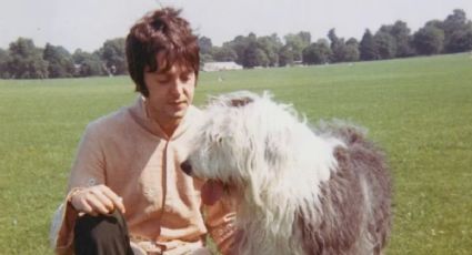 Paul McCartney se inspiró en un perro para escribir ’Martha, my dear’