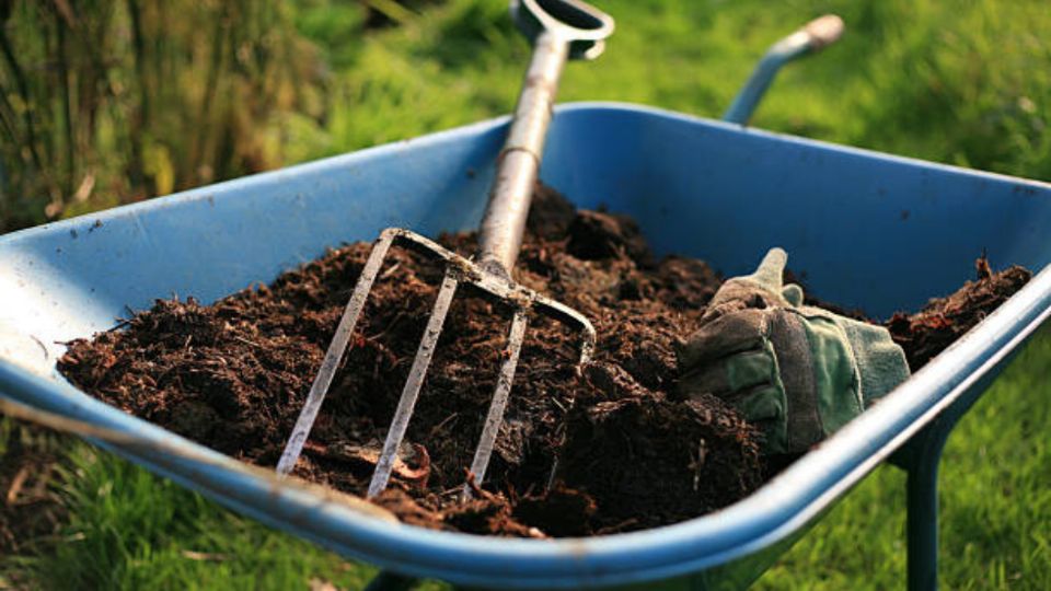 ¿Cómo reutilizar la ceniza de leña como abono para el jardín?