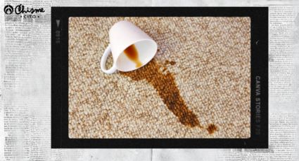 El secreto para borrar las manchas de café de tus alfombras al instante