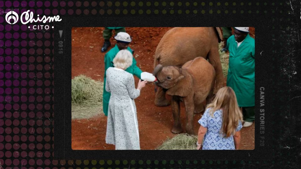 La reina Camilla visitó Kenia con el rey Carlos.